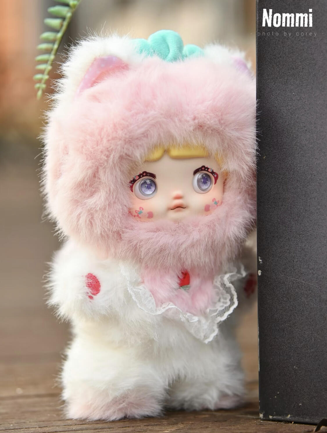 Nommi やっぱり面白い!